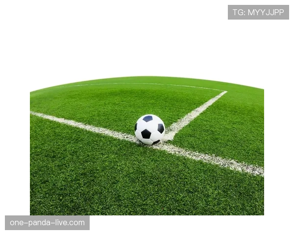 人工草场足球规则与天然草场有何不同？全面拆解关键细节