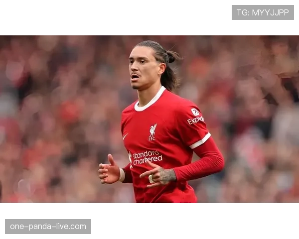 努涅斯的技术特点能否适应英超节奏：风格匹配度与实战适配性分析