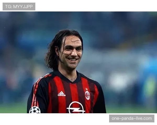 内斯塔与费迪南德防守组织中的协同裂隙解析