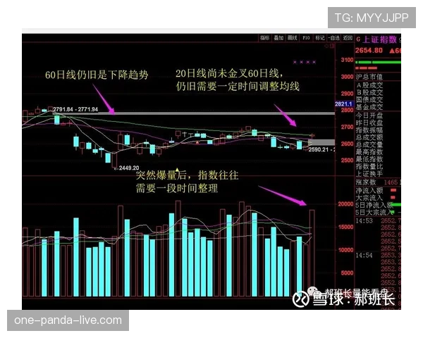 杜埃高开低走隐忧：新星持续性瓶颈与战术适配机制解析