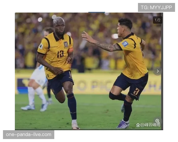 厄瓜多尔冲击2026世界杯：南美劲旅能否再掀黑马风暴