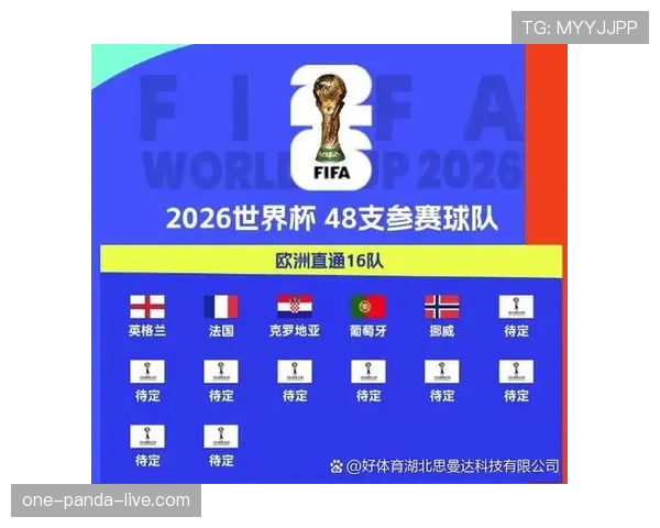 葡萄牙世界杯后防线分析稳定性怎么样